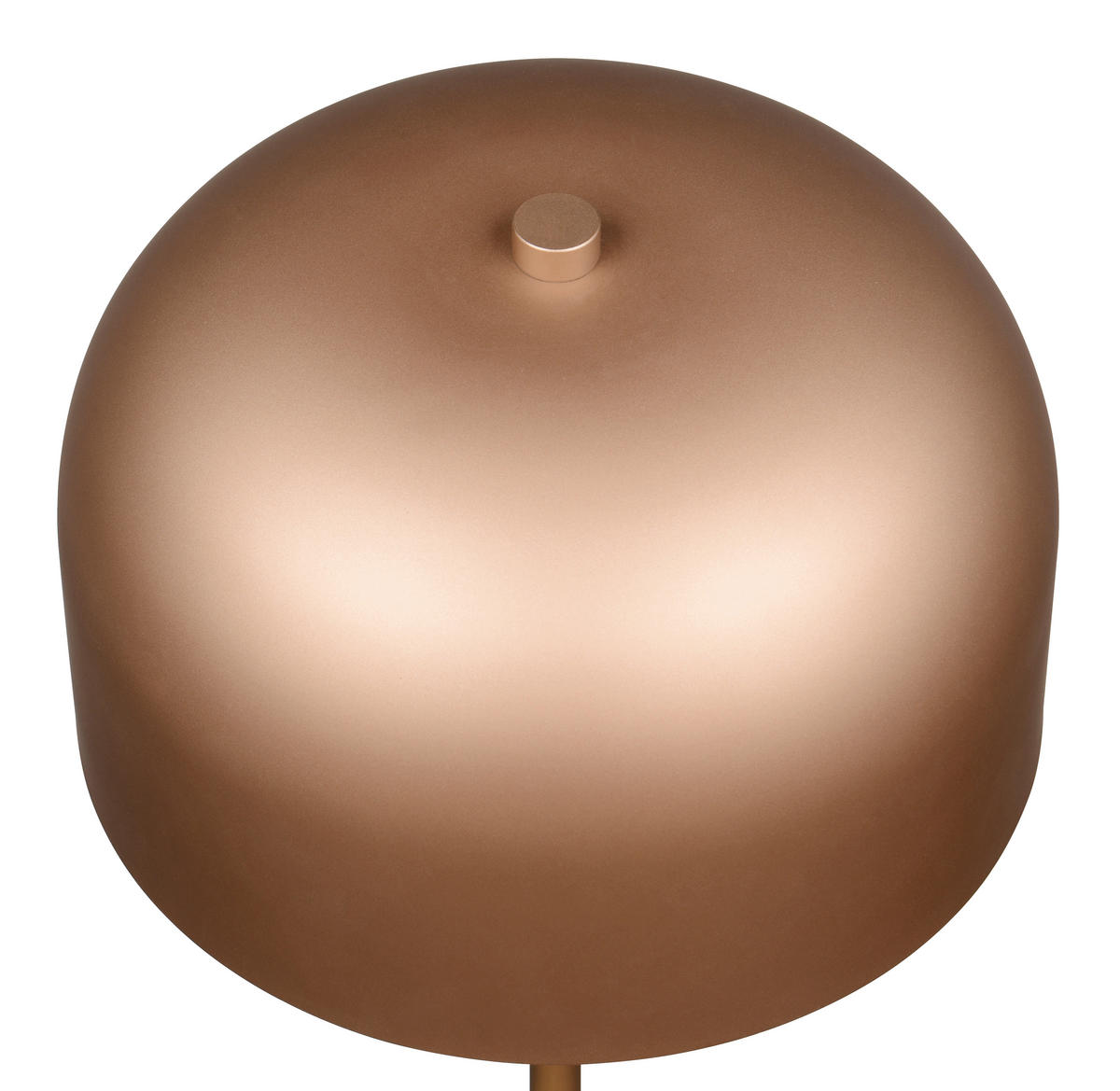 Reality LED Stehleuchte JEFF kaffee Metall H: ca. 147 cm 1 Brennstellen Jeff - kaffee (147,00cm) - Reality