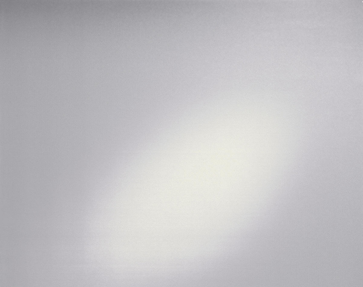 d-c-fix Fensterfolie Frost transparent B/L: ca. 90x150 cm Fensterfolie_d-c-fix_F3385011 - transparent (90,00/150,00cm) - d-c-fix
