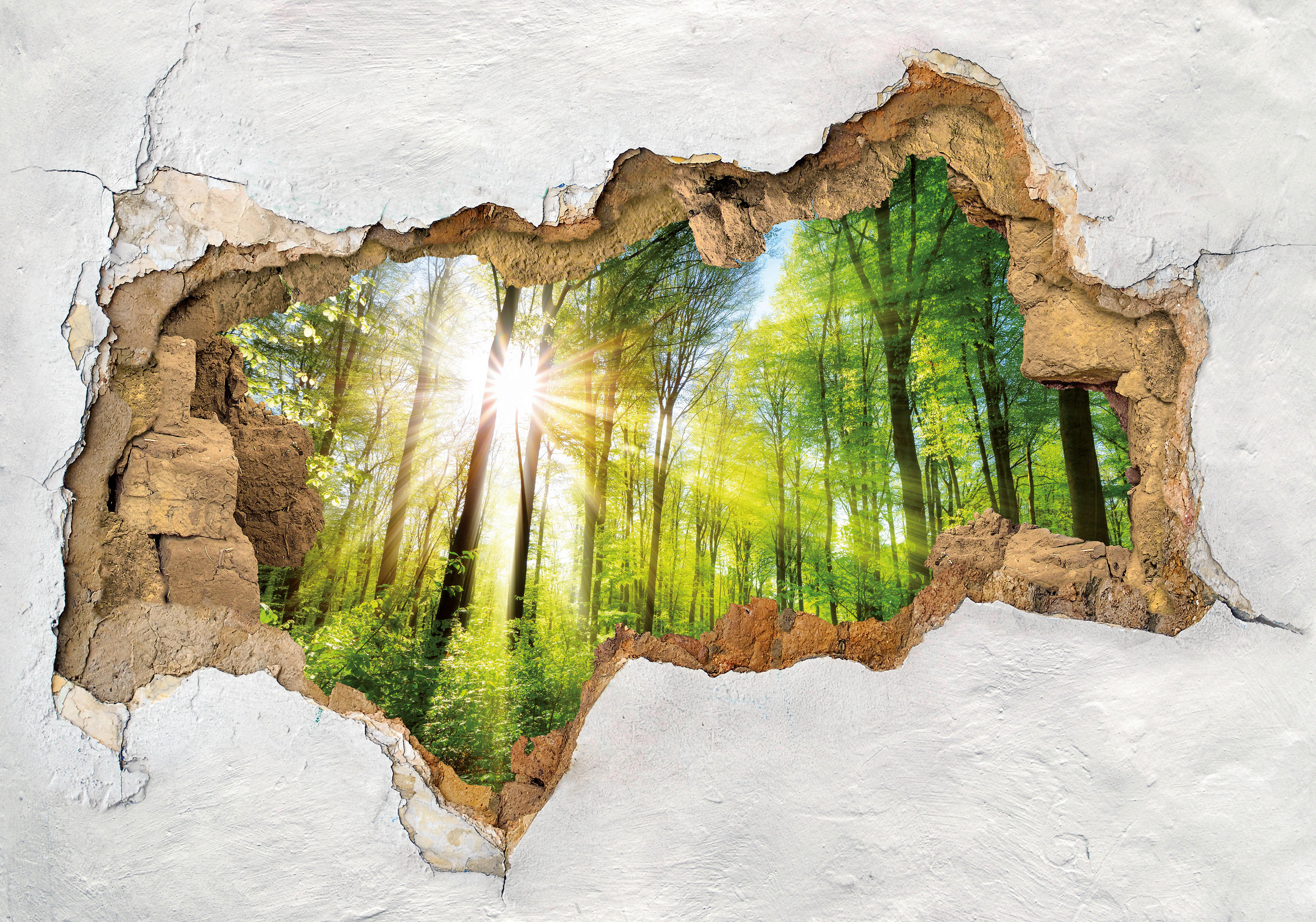 Dekosticker Wald bunt B/L: ca. 50x70 cm 2 tlg. Dekosticker Mauer Wald - bunt (50,00/70,00cm)