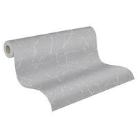 A.S.Creation Vliestapete Terra grau B/L: ca. 53x1005 cm Terra - grau (53,00/1005,00cm) - A.S.Creation