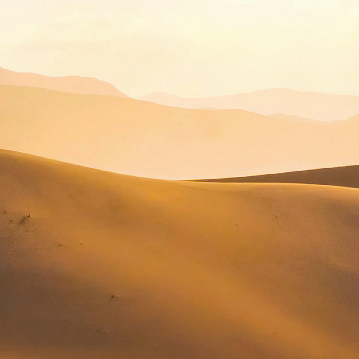 Komar Fototapete Wüstenmagie B/L: ca. 200x280 cm Wüstenmagie - (200,00/280,00cm) - Komar