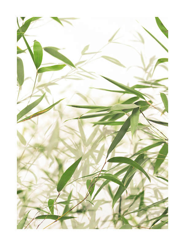 Komar Poster Bamboo Leaves Pflanzen B/L: ca. 30x40 cm günstig online kaufen