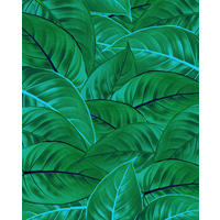 Komar Fototapete Jungle Leaves B/L: ca. 200x250 cm Jungle Leaves - (200,00/250,00cm) - Komar