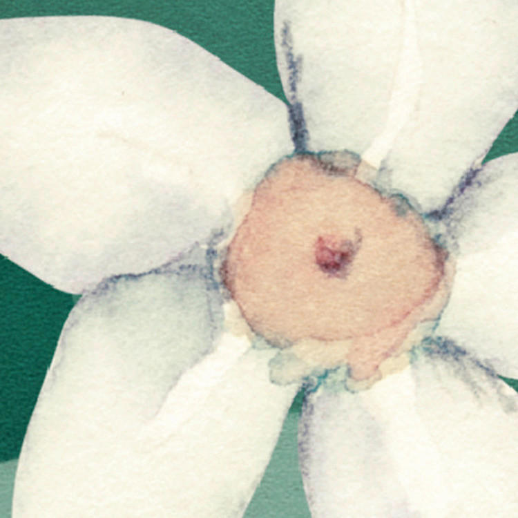 Komar Fototapete The Flower Duet B/L: ca. 400x250 cm The Flower Duet - (400,00/250,00cm) - Komar