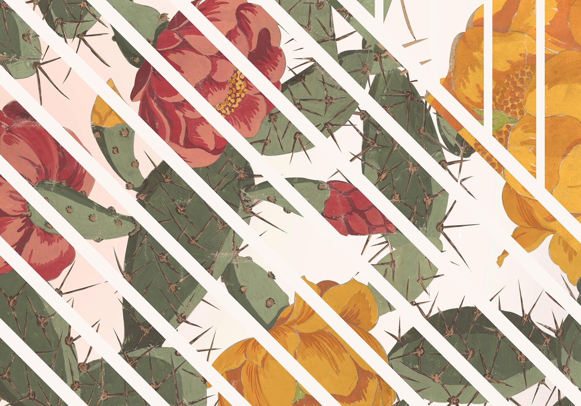 Komar Fototapete Cactus B/L: ca. 300x280 cm Cactus - (300,00/280,00cm) - Komar