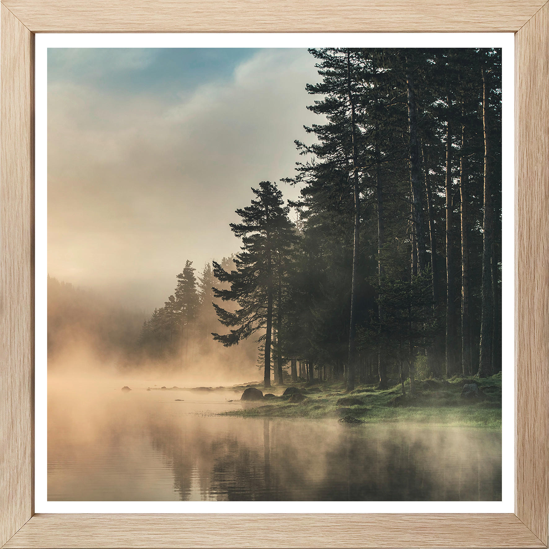 Bilder Wald Bild_Cheb 35x35cm