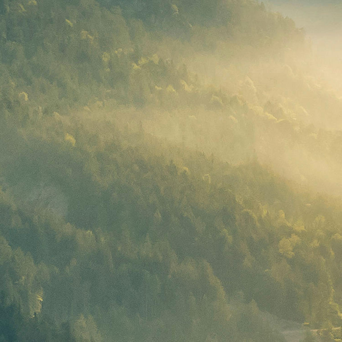 Komar Fototapete Gold Mountains B/L: ca. 400x250 cm Gold Mountains - (400,00/250,00cm) - Komar