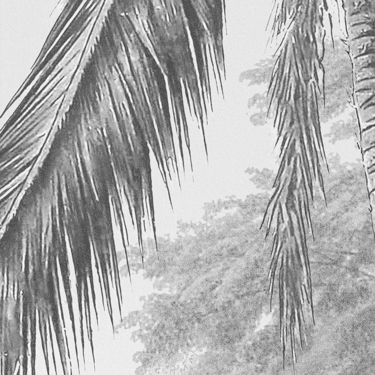 Komar Fototapete Lac Tropical Black & White B/L: ca. 200x270 cm Lac Tropical Black & White - (200,00/270,00cm) - Komar