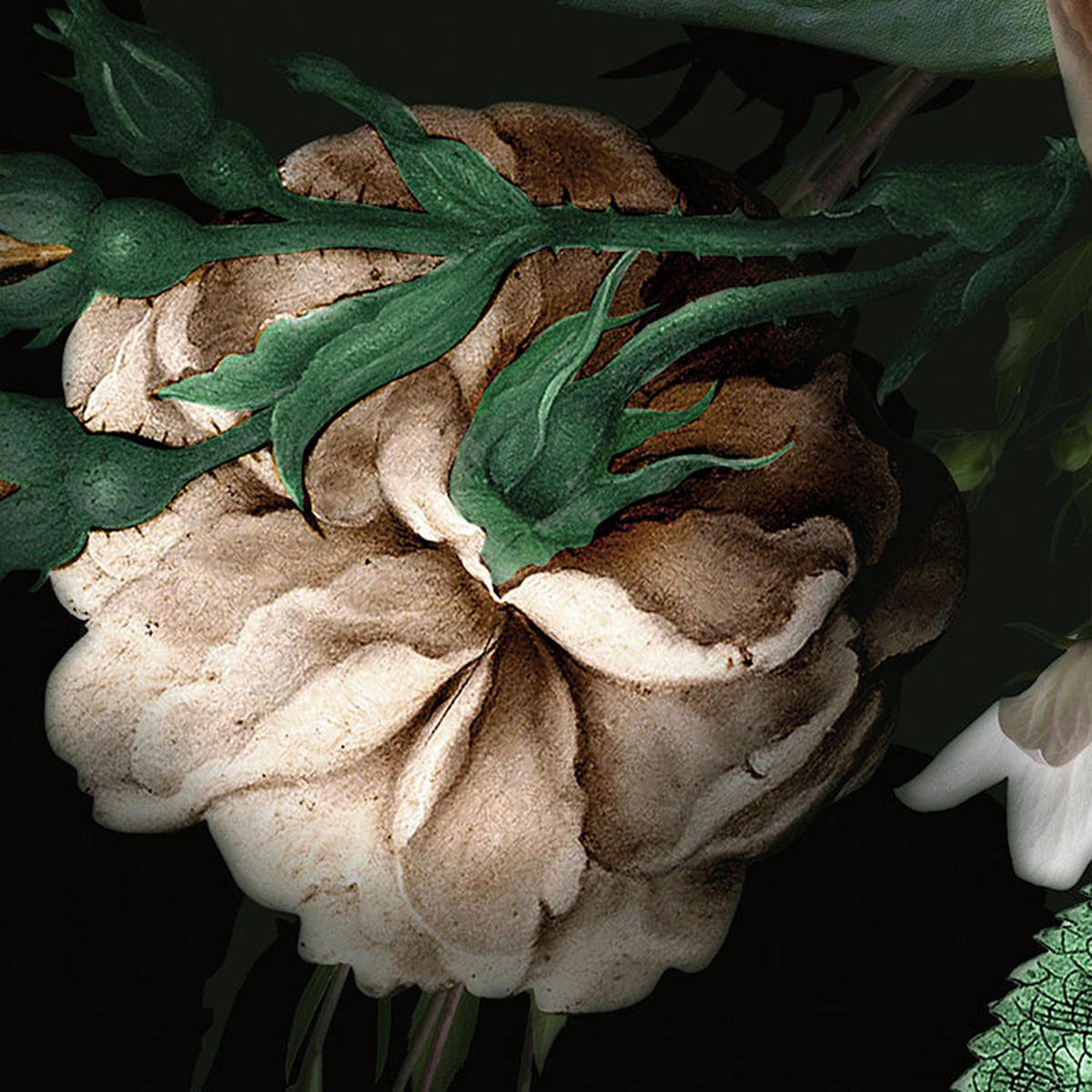 Komar Fototapete Flower Couture D: ca. 125 cm Flower Couture - (125,00cm) - Komar