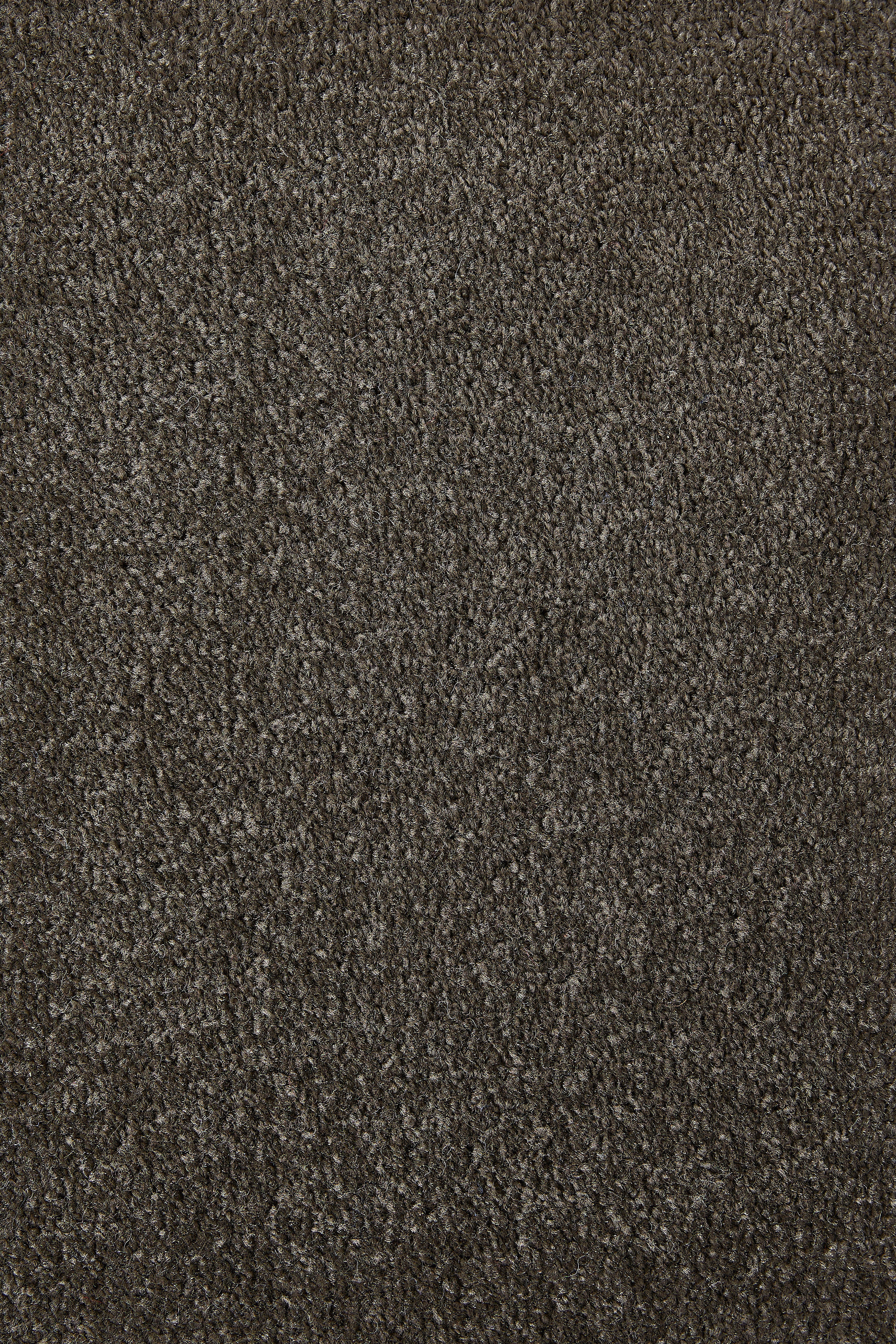 Teppichboden Sara braungrau B/L: ca. 200x400 cm pro Stück Sara - braungrau (200,00/400,00cm)