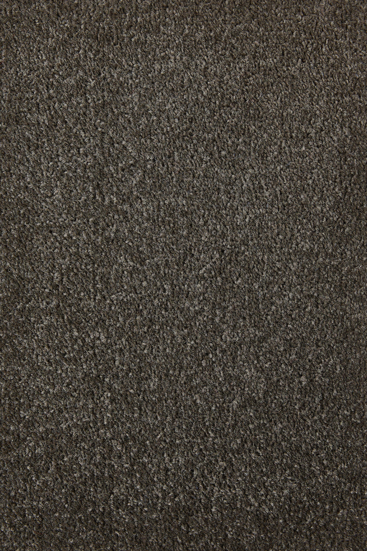 Teppichboden Sara braungrau B/L: ca. 200x400 cm pro Stück Sara - braungrau (200,00/400,00cm)