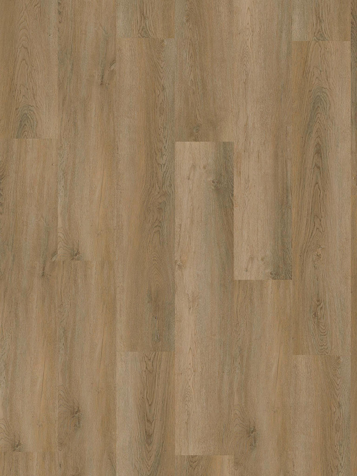 Click-Vinylboden Marga ca. 2,782 m² im Paket  B/L: ca. 22,8x122 cm pro Paket Marga ca. 2,782 m² im Paket - (22,80/122,00cm)