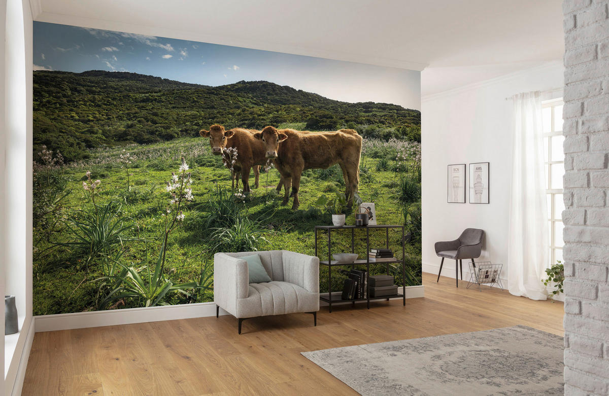 Komar Fototapete Kuhparadies B/L: ca. 450x280 cm Kuhparadies - (450,00/280,00cm) - Komar