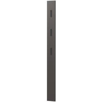 Garderobenpaneel 3728-547 Graphit Optik B/H/T: ca. 15x170x3 cm 3728-547 - schwarz/Graphit (15,00/170,00/3,00cm) - Germania