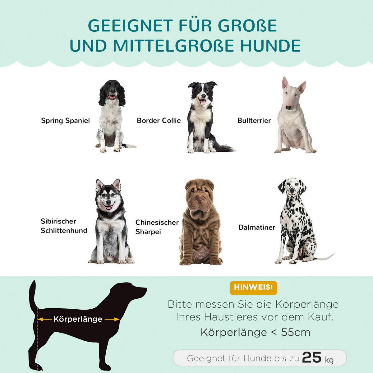PawHut Hunde-Zubehör grün Polypropylen B/H/L: ca. 60,5x98,5x35,5 cm Hundesofa - grün (35,50/60,50/98,50cm) - PawHut