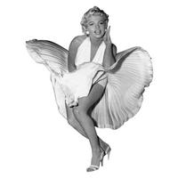 Wandbild Bild_Deko_Panel - (90,00cm)