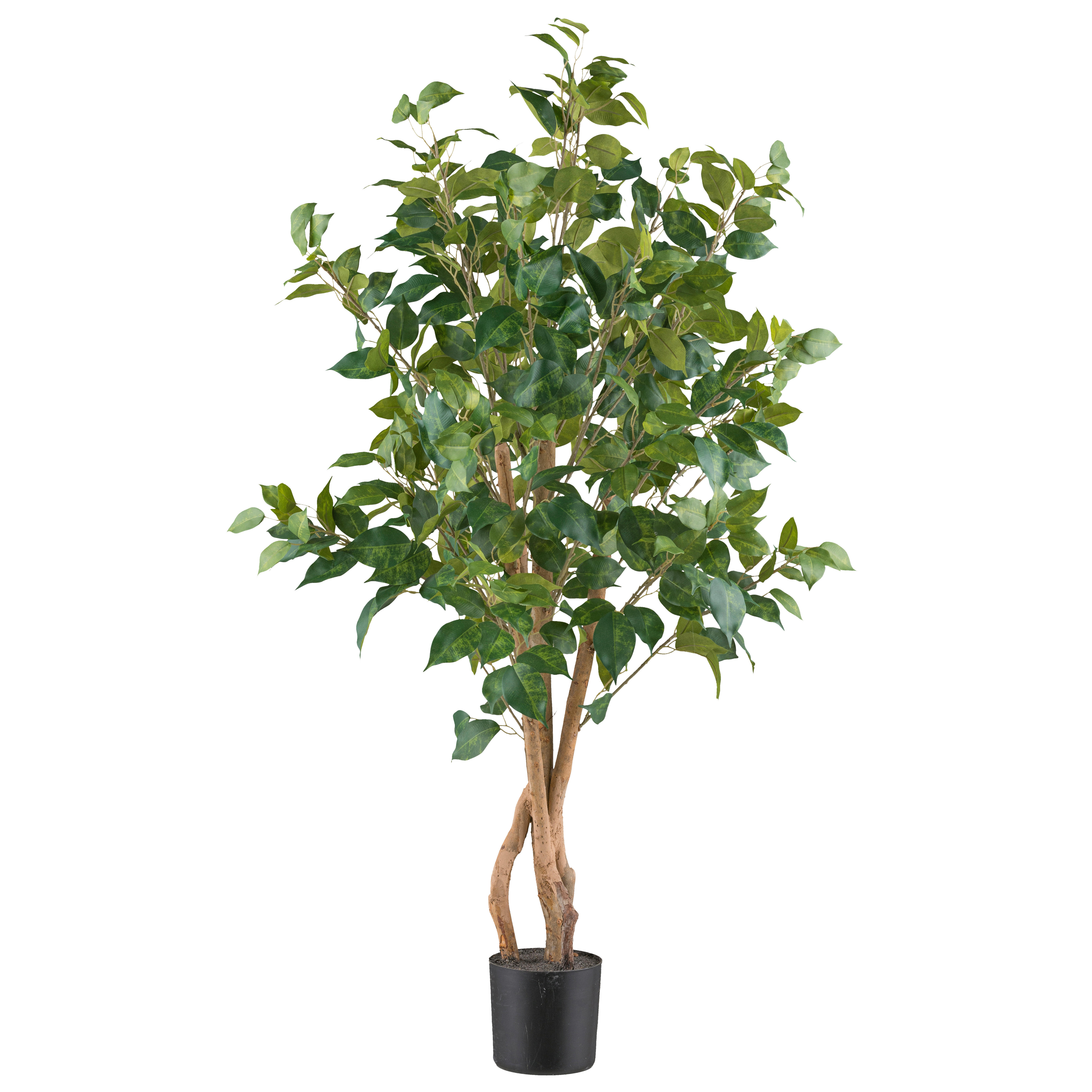 Kunstpflanze Ficus Benjamina grün Kunststoff B/H/L: ca. 20x120x20 cm günstig online kaufen