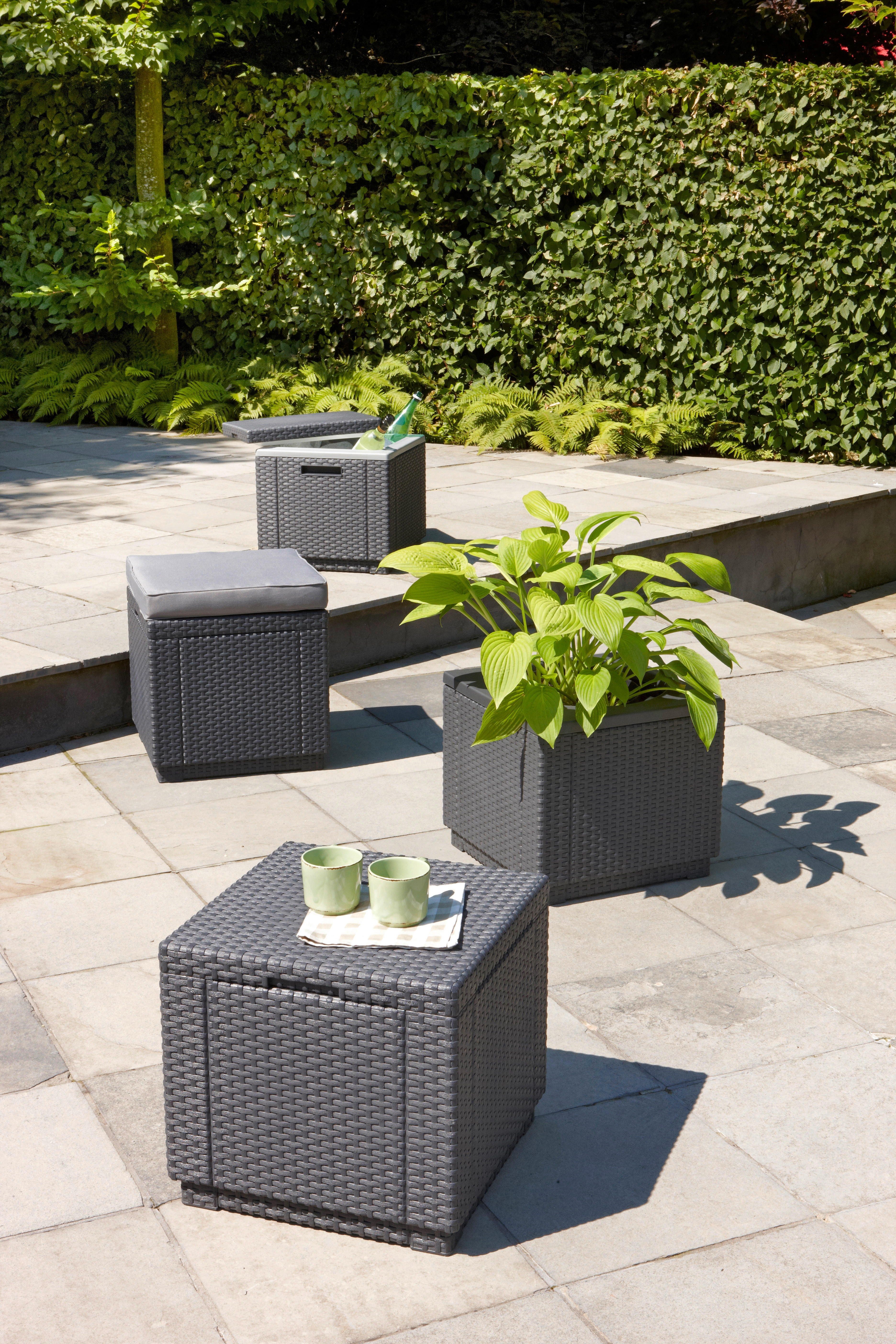 Allibert Kühlbox Ice-Cube B/H/L: ca. 42x41x42 cm Ice-Cube - Graphit (42,00/42,00/41,00cm) - Allibert