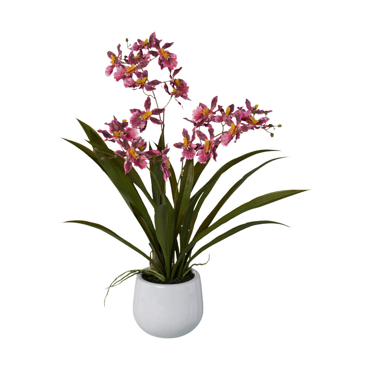Kunstpflanze Cambria-Orchidee rosa Kunststoff B/H/L: ca. 17x55x17 cm Cambria-Orchidee - rosa (17,00/17,00/55,00cm)
