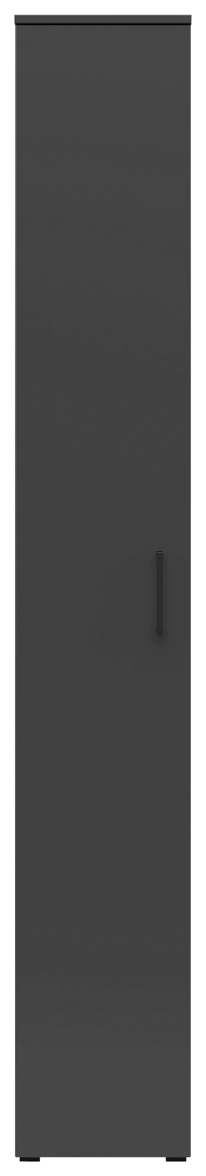 Schrank Multi-Stauraum Typ 8 anthrazit B/H/T: ca. 30x195x40 cm Multi-Stauraum Typ 8 - anthrazit (30,00/195,00/40,00cm)