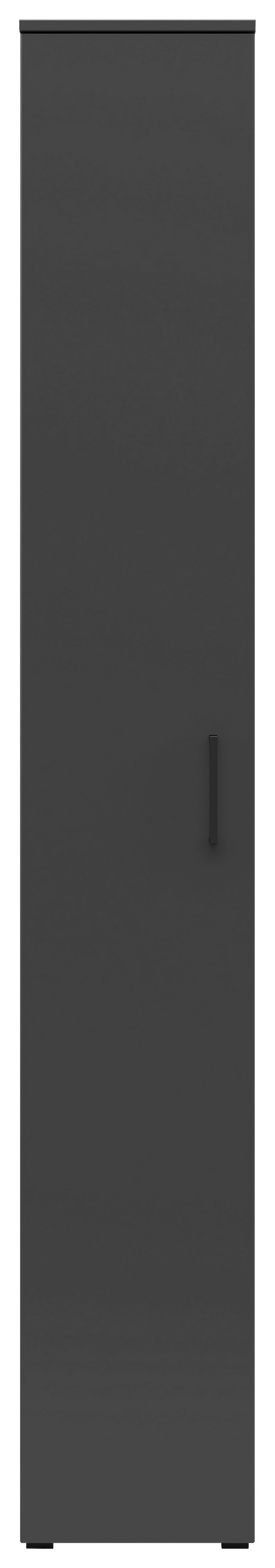 Schrank Multi-Stauraum Typ 8 anthrazit B/H/T: ca. 30x195x40 cm Multi-Stauraum Typ 8 - anthrazit (30,00/195,00/40,00cm)