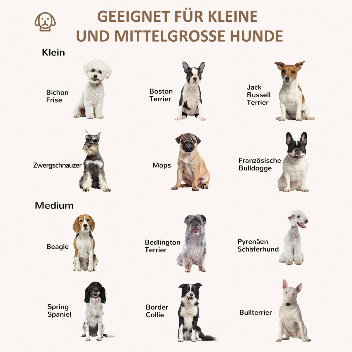 PawHut Hundebett Hundebett - (75,00/55,00/20,00cm) - PawHut