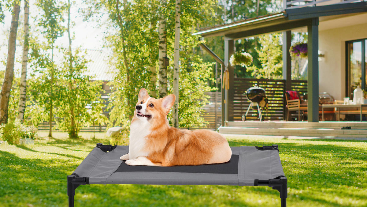 Pet Comfort Haustierbett grau Polyester B/H/L: ca. 81x17x64 cm Erhöhtes_Haustierbett_M - grau (64,00/81,00/17,00cm) - Pet Comfort