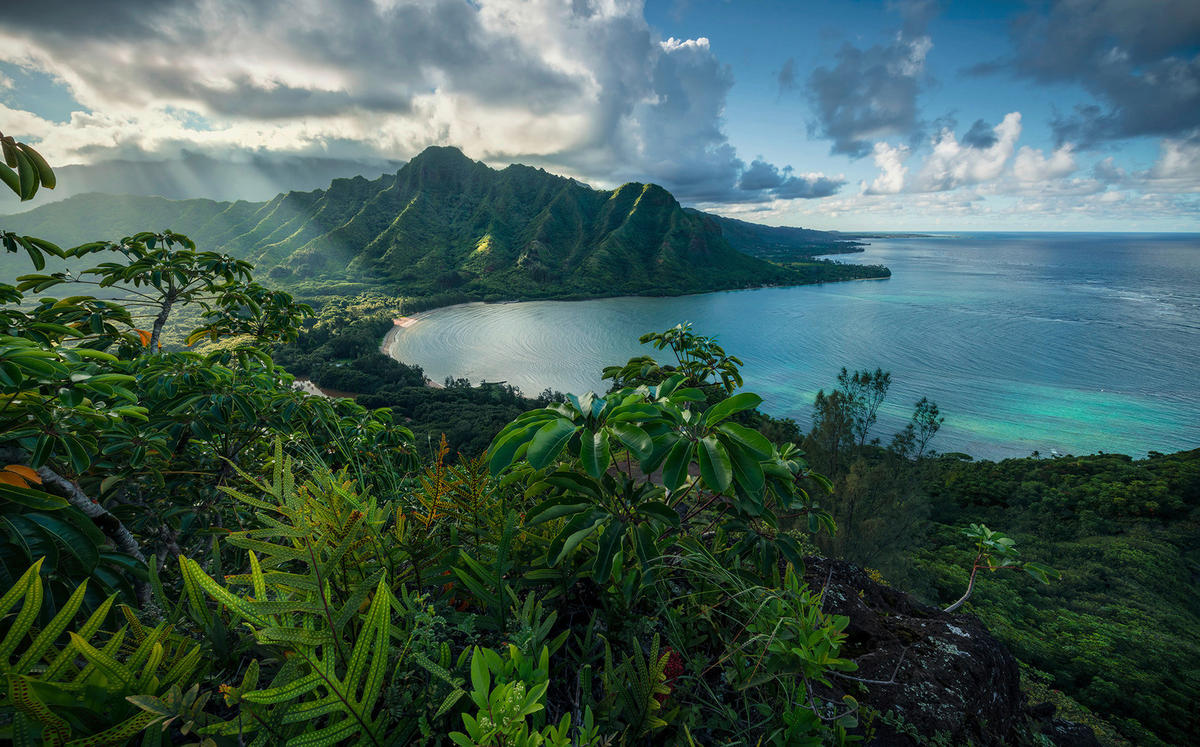 Komar Fototapete Jurassic Island B/L: ca. 450x280 cm Jurassic Island - (450,00/280,00cm) - Komar