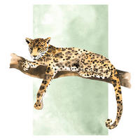 Komar Poster Lazy Leopard Leopard B/L: ca. 40x50 cm Lazy Leopard - (40,00/50,00cm) - Komar