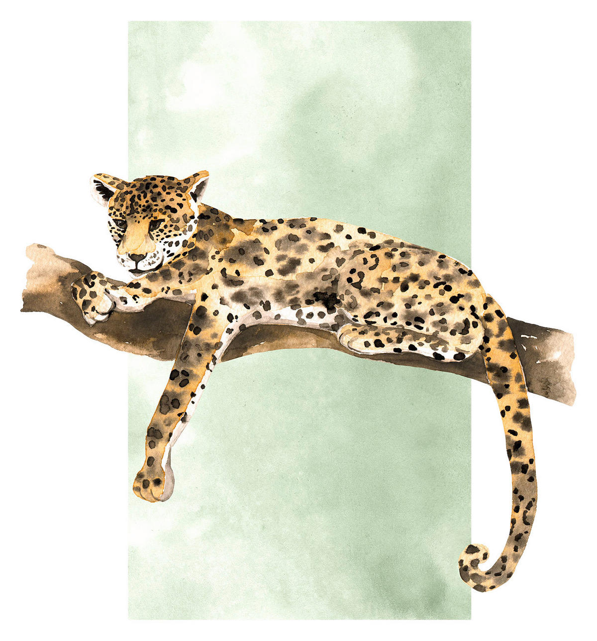 Komar Poster Lazy Leopard Leopard B/L: ca. 40x50 cm Lazy Leopard - (40,00/50,00cm) - Komar