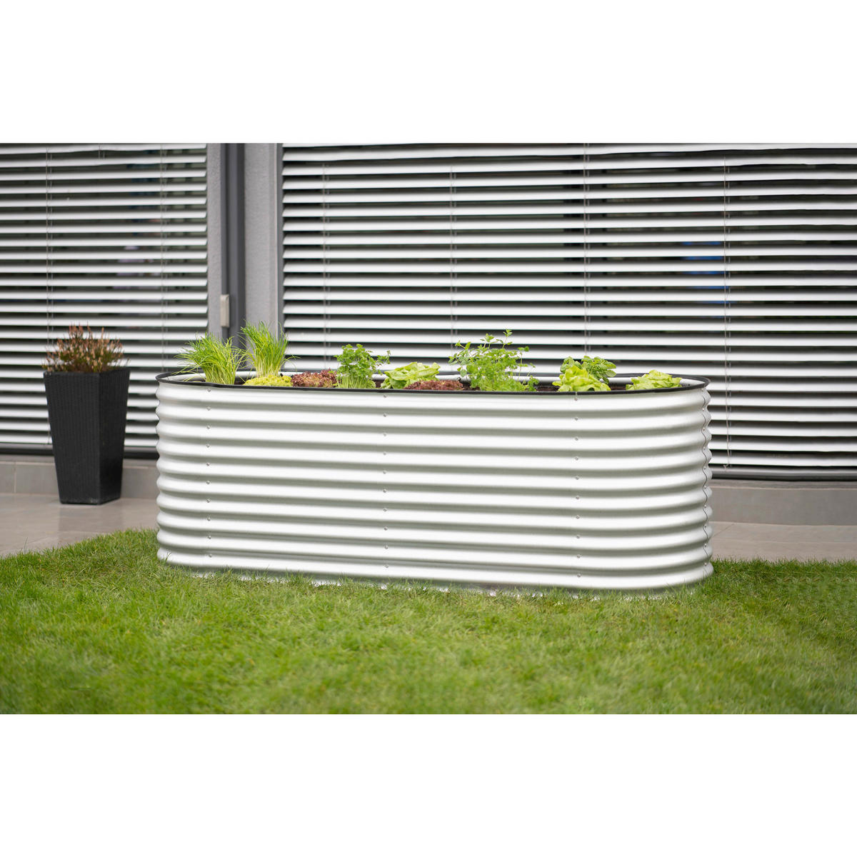 Westmann Hochbeet Oval silber Metall B/H/L: ca. 80x82x240 cm Oval - silber (240,00/80,00/82,00cm) - Westmann