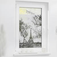 LICHTBLICK Fensterfolie Paris Paris Paris schwarz weiß B/L: ca. 50x50 cm Paris - weiß/schwarz (50,00/50,00cm) - LICHTBLICK