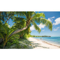Komar Fototapete Fiji Dreams Boat B/L: ca. 450x280 cm Fiji Dreams Boat - (450,00/280,00cm) - Komar