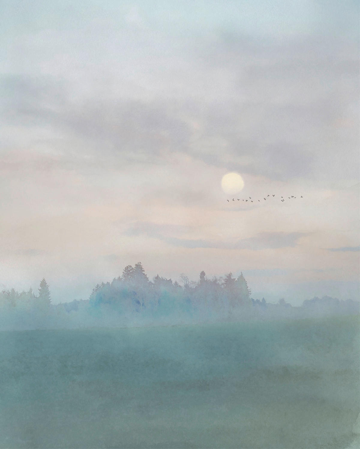 Komar Fototapete Hazy Hush B/L: ca. 200x250 cm Hazy Hush - (200,00/250,00cm) - Komar