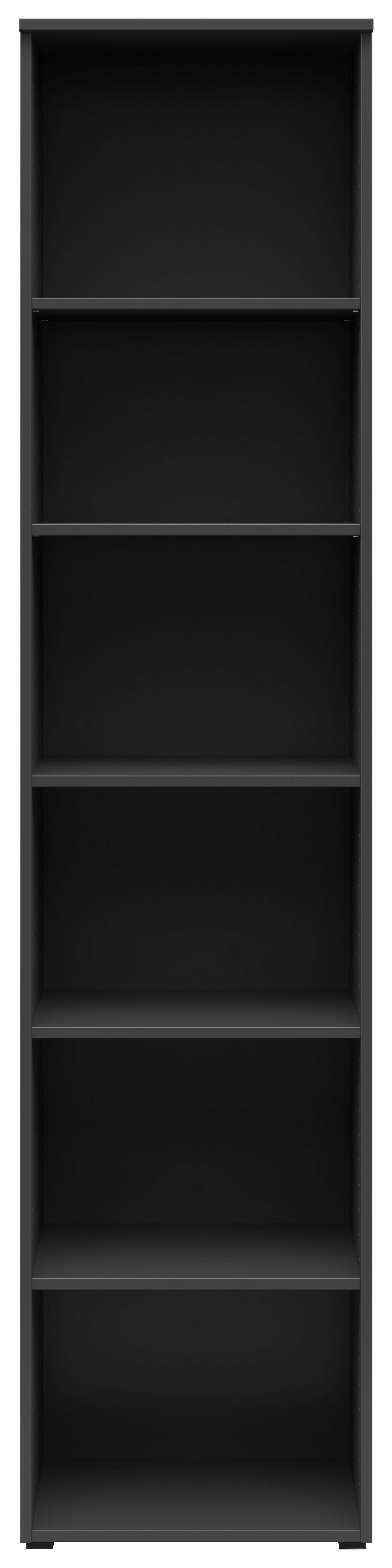 Regal Multi-Stauraum Typ 19 anthrazit B/H/T: ca. 45x195x40 cm Multi-Stauraum Typ 19 - anthrazit (45,00/195,00/40,00cm)