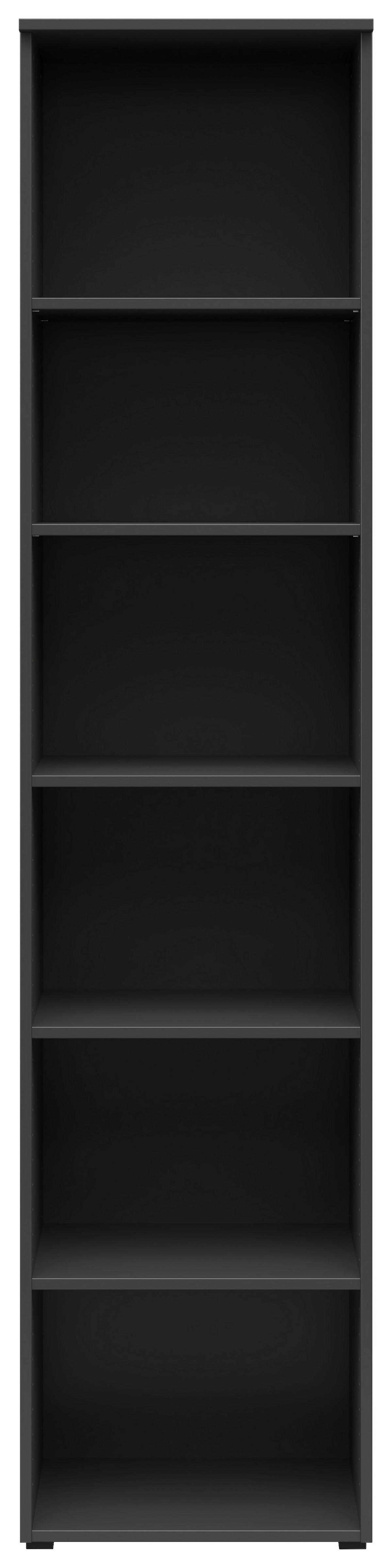 Regal Multi-Stauraum Typ 19 anthrazit B/H/T: ca. 45x195x40 cm Multi-Stauraum Typ 19 - anthrazit (45,00/195,00/40,00cm)
