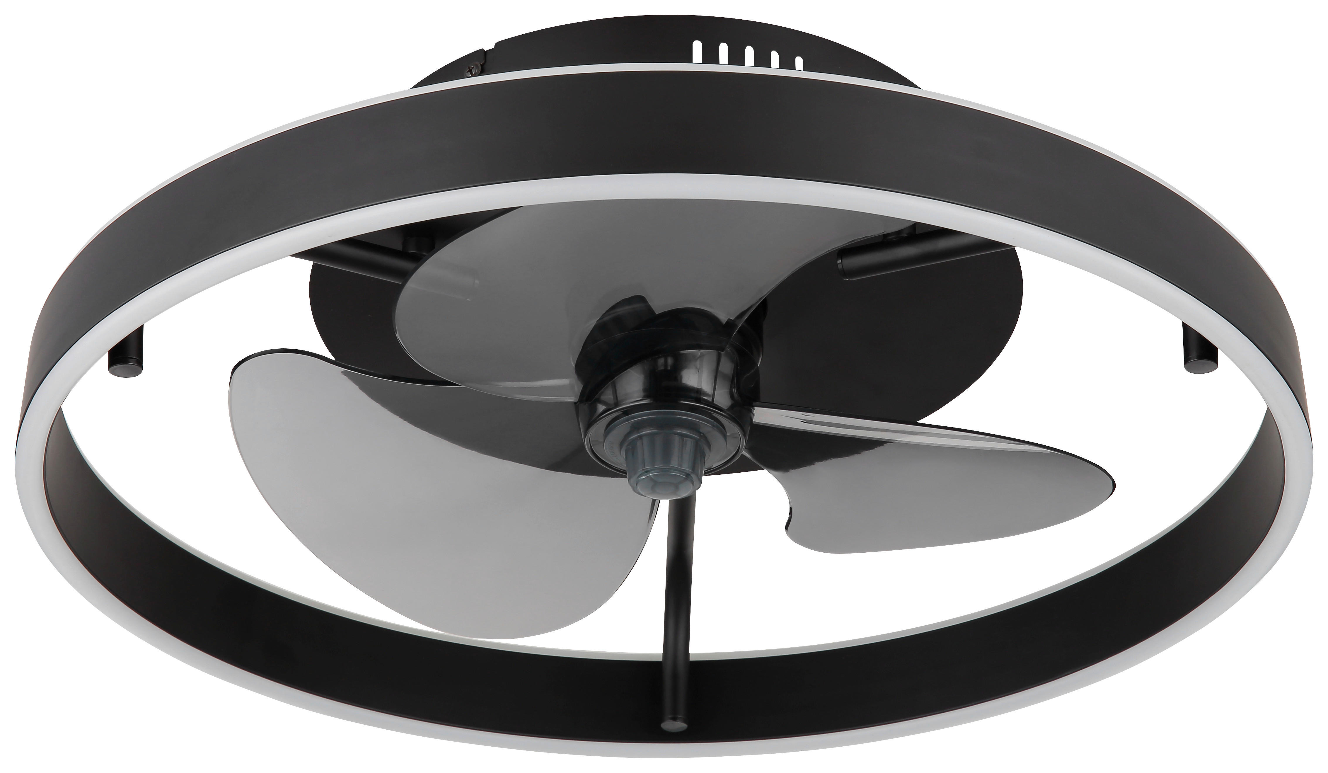 GLOBO Deckenventilator schwarz Opal Rauch H/D: ca. 14,5x50 cm max. 40 W Conway - schwarz/Opal (50,00/14,50cm) - GLOBO