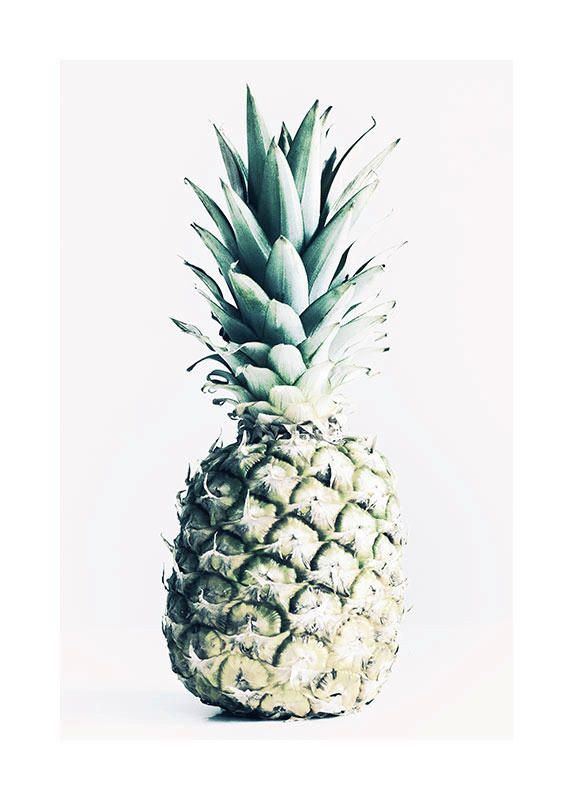 Komar Poster Pineapple Pflanzen B/L: ca. 50x70 cm günstig online kaufen