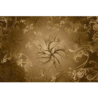 Komar Fototapete Gold B/L: ca. 368x254 cm Gold - (368,00/254,00cm) - Komar