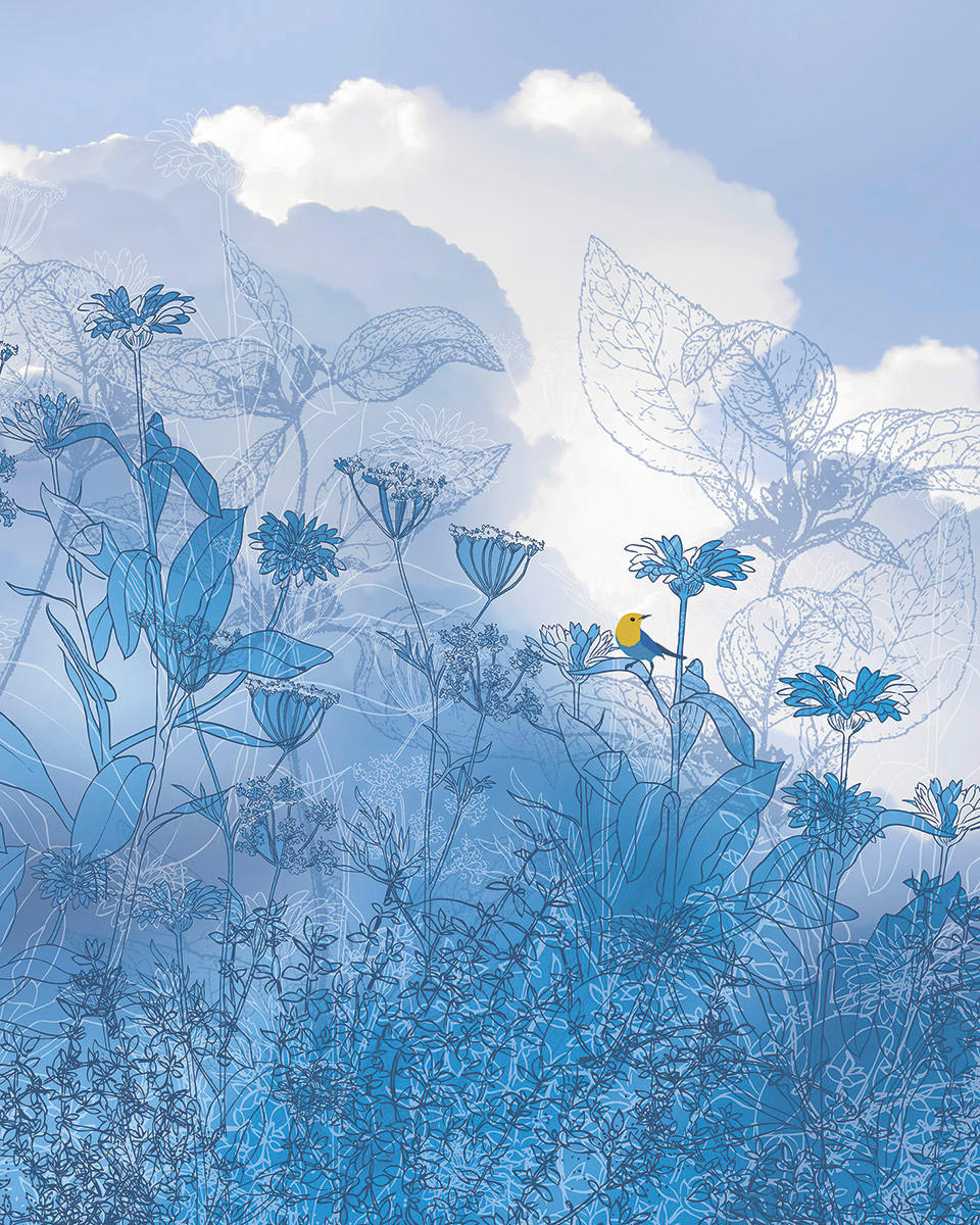 Komar Fototapete Blue Sky B/L: ca. 200x250 cm Blue Sky - (200,00/250,00cm) - Komar