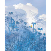 Komar Fototapete Blue Sky B/L: ca. 200x250 cm Blue Sky - (200,00/250,00cm) - Komar
