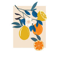 Komar Poster Illustration Finest Fruits Pflanzen B/L: ca. 30x40 cm Illustration Finest Fruits - (30,00/40,00cm) - Komar