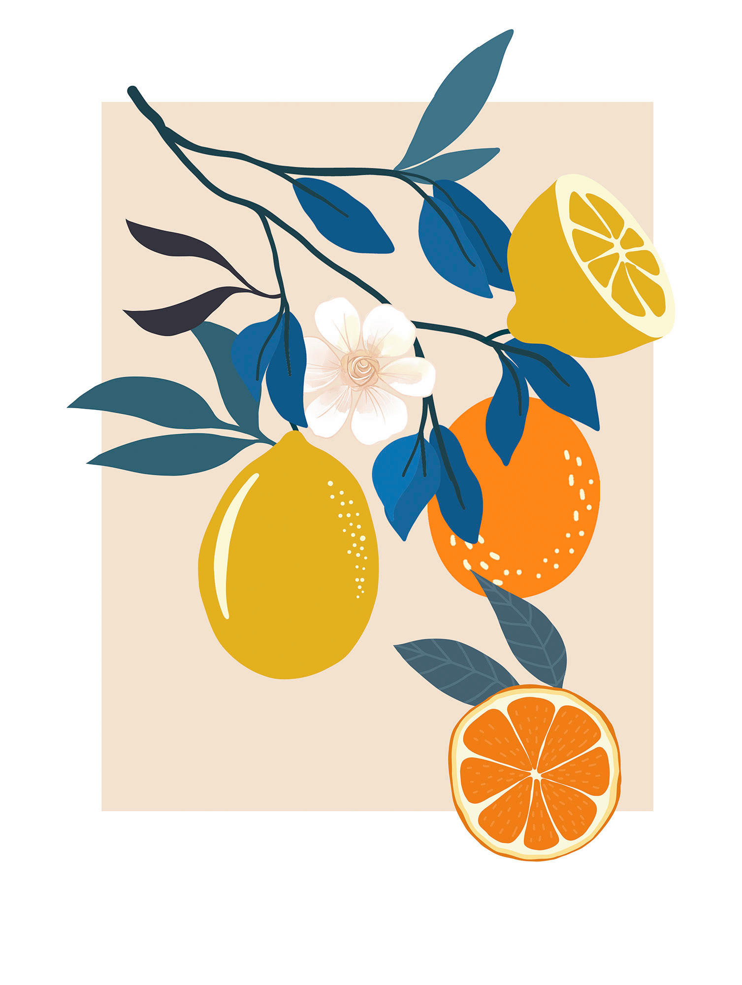 Komar Poster Illustration Finest Fruits Pflanzen B/L: ca. 30x40 cm günstig online kaufen