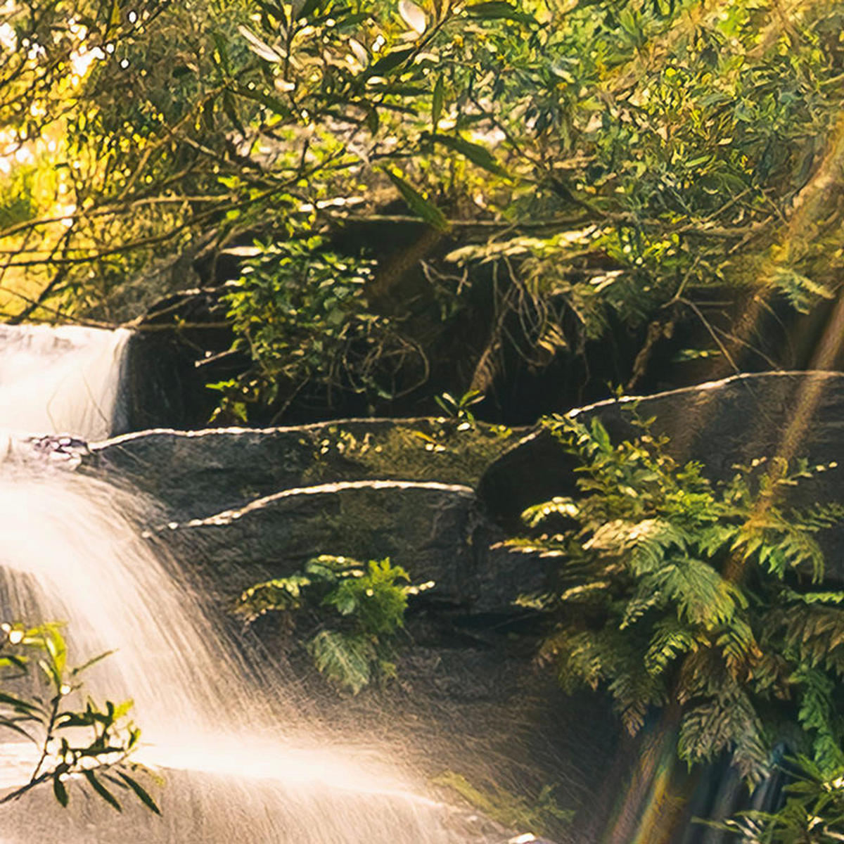 Komar Fototapete Golden Falls B/L: ca. 450x280 cm Golden Falls - (450,00/280,00cm) - Komar