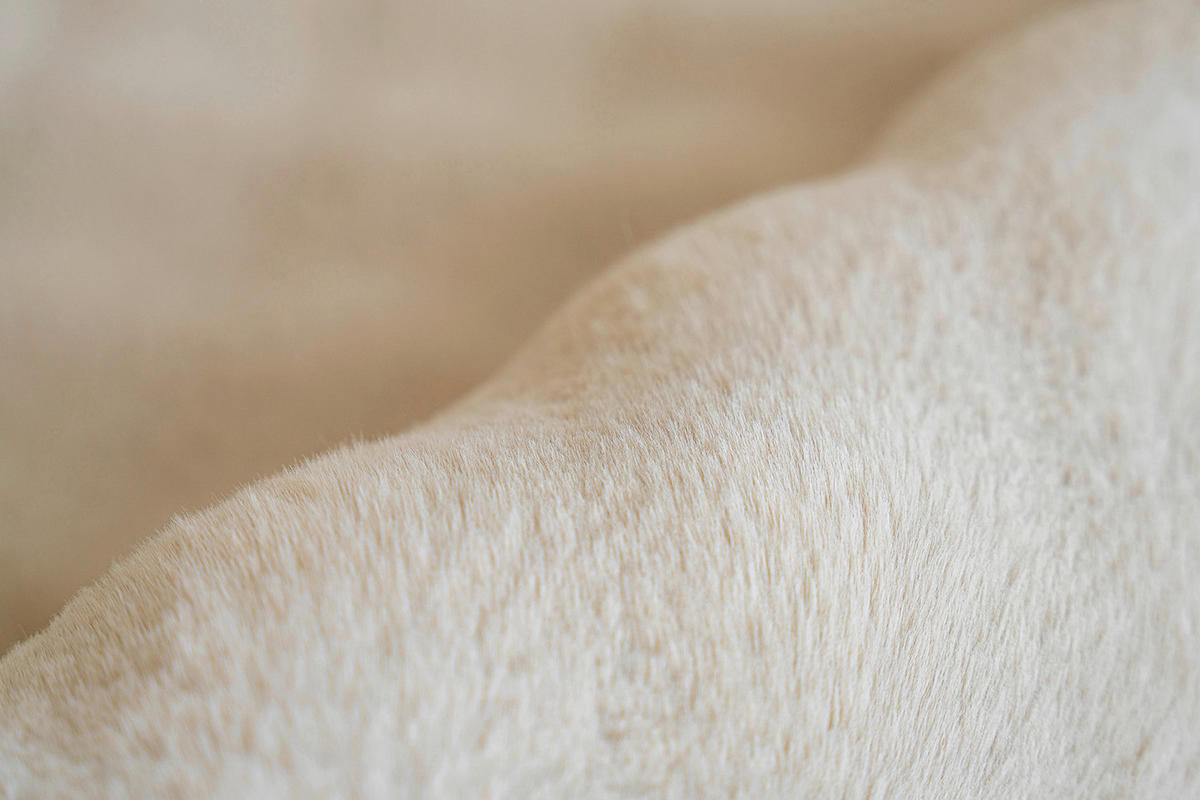 Padiro Hochflorteppich Hailey 125 creme B/H/L: ca. 200x3x290 cm Hailey 125 - creme (290,00/200,00/3,00cm) - Padiro