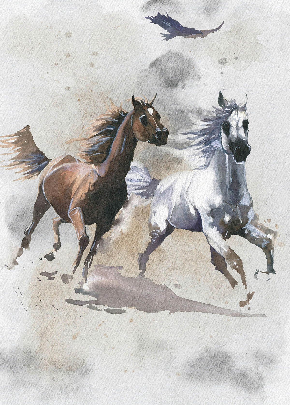 Komar Fototapete Wild Ride B/L: ca. 200x280 cm Wild Ride - (200,00/280,00cm) - Komar