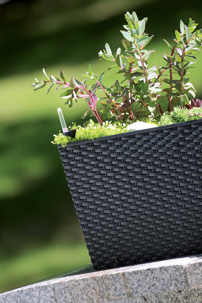 Prosperplast Blumenkasten RATO CASE anthrazit Kunststoff B/H/L: ca. 33x32x80 cm RATO CASE - anthrazit (80,00/33,00/32,00cm) - Prosperplast