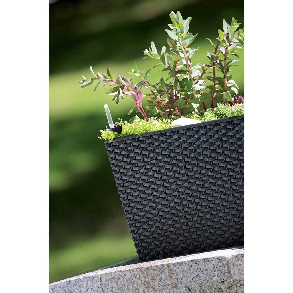 Thumbnail - Prosperplast Blumenkasten RATO CASE anthrazit Kunststoff B/H/L: ca. 33x32x80 cm