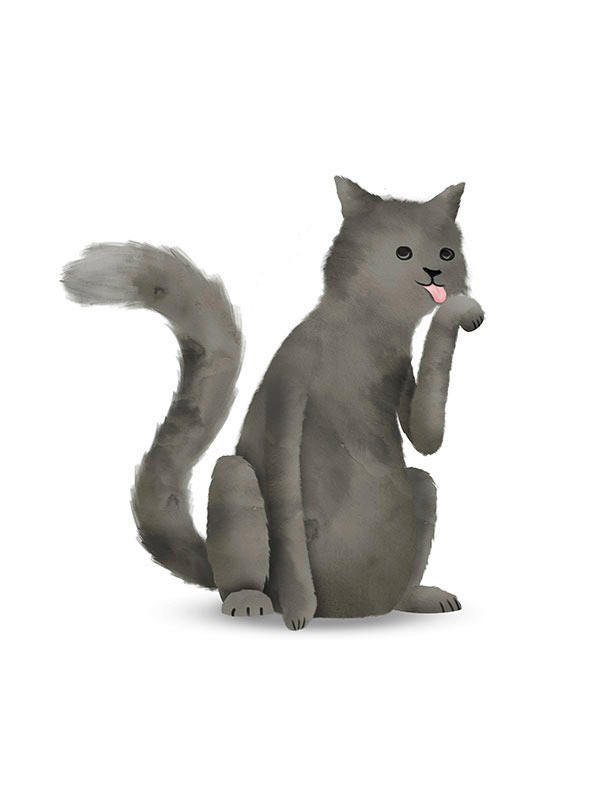 Komar Poster Cute Animal Cat Katze Cute Animal Cat - Komar