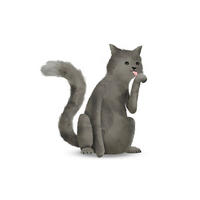 Komar Poster Cute Animal Cat Katze Cute Animal Cat - Komar